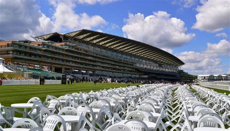 The Racing Forum .